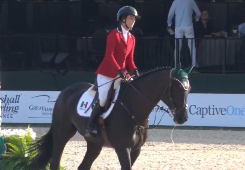 Comité OlÃmpico Mexicano