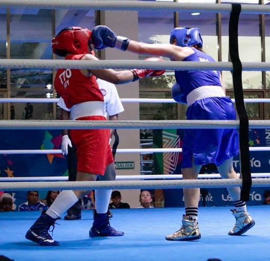 Comité OlÃmpico Mexicano