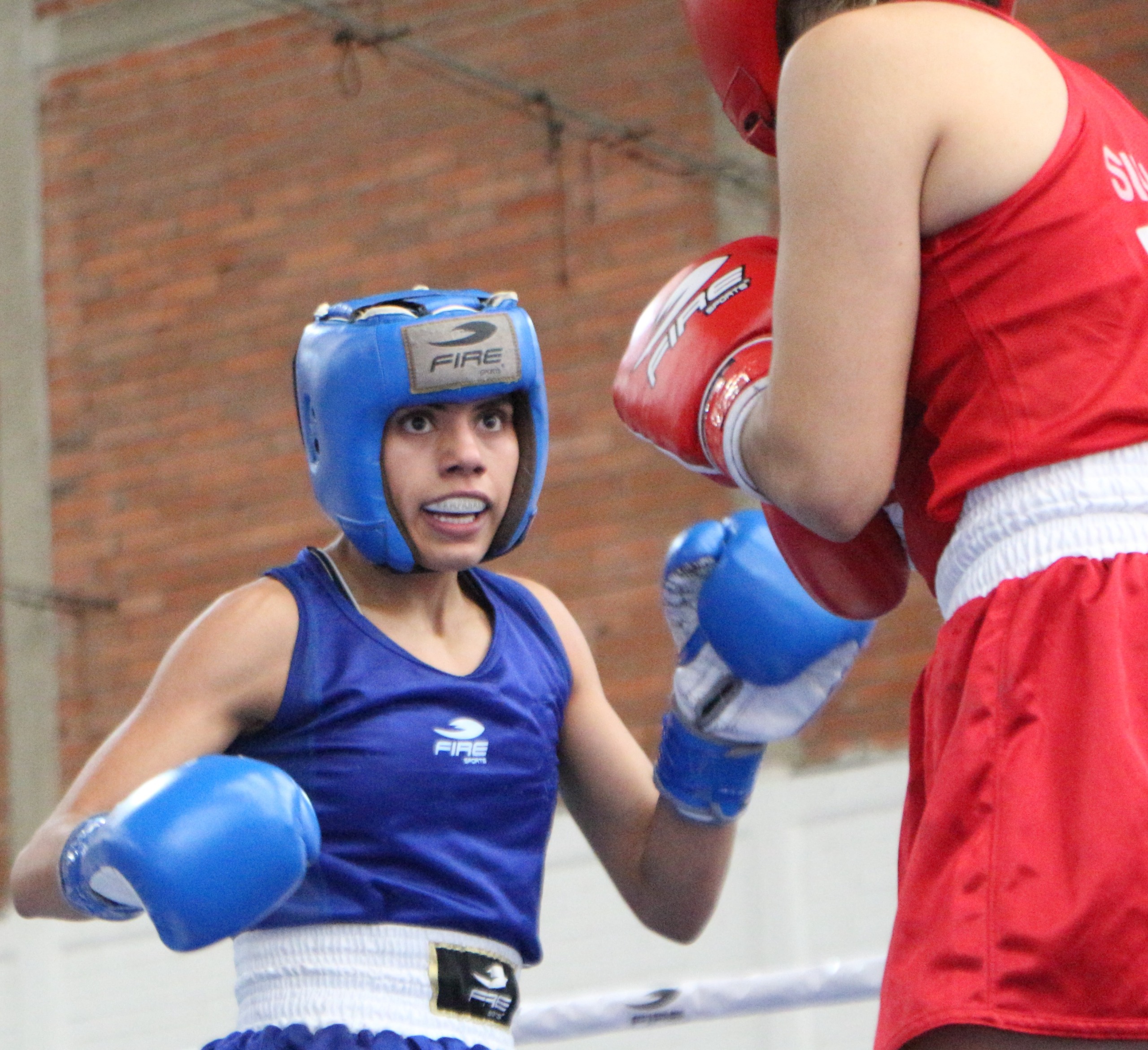 Comité Olímpico Mexicano